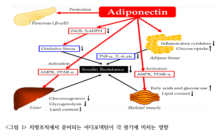 0e4a4d2281dbdc08dac6c396b023cf26_1722215