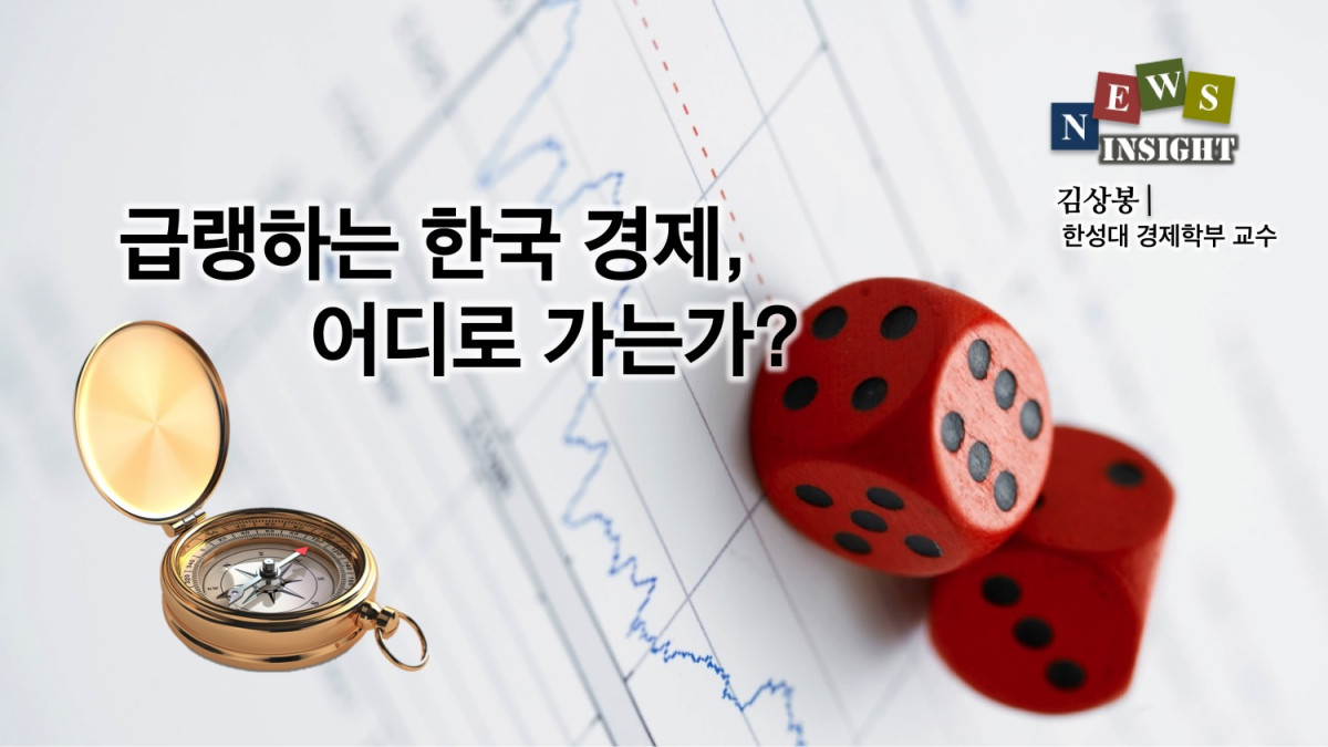 국회의원 선거구 부존재의 문제점들