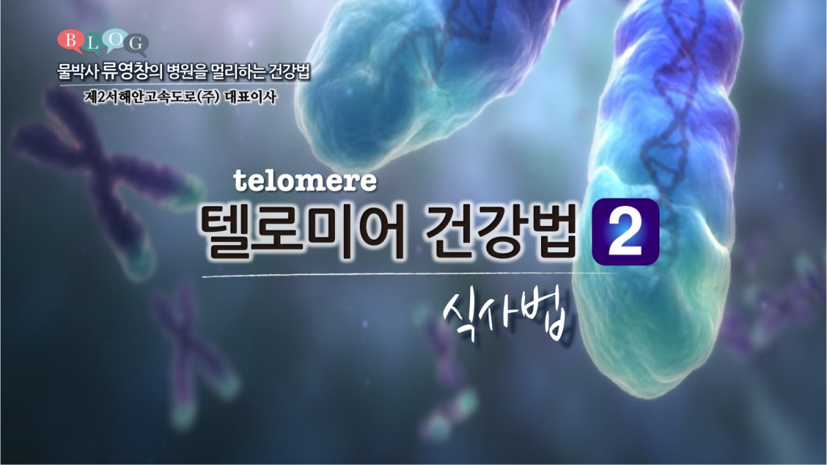 텔로미어(telomere) 건강법(2) 식사법 
