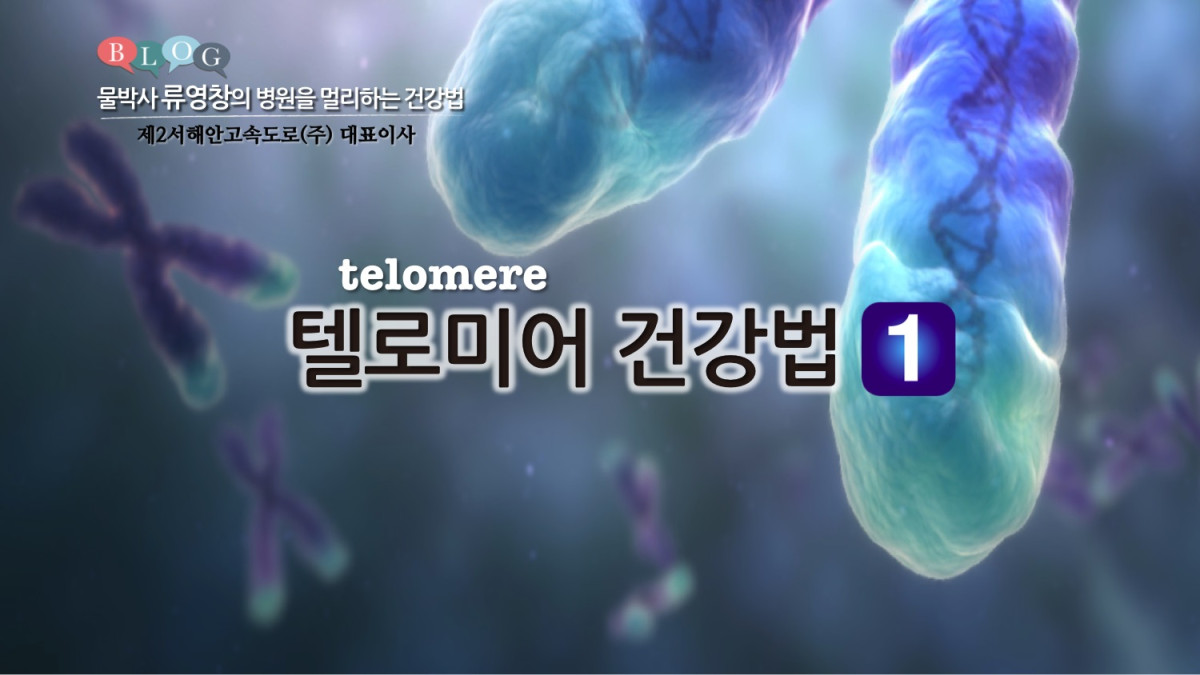 텔로미어(telomere) 건강법 &lt;1&gt;