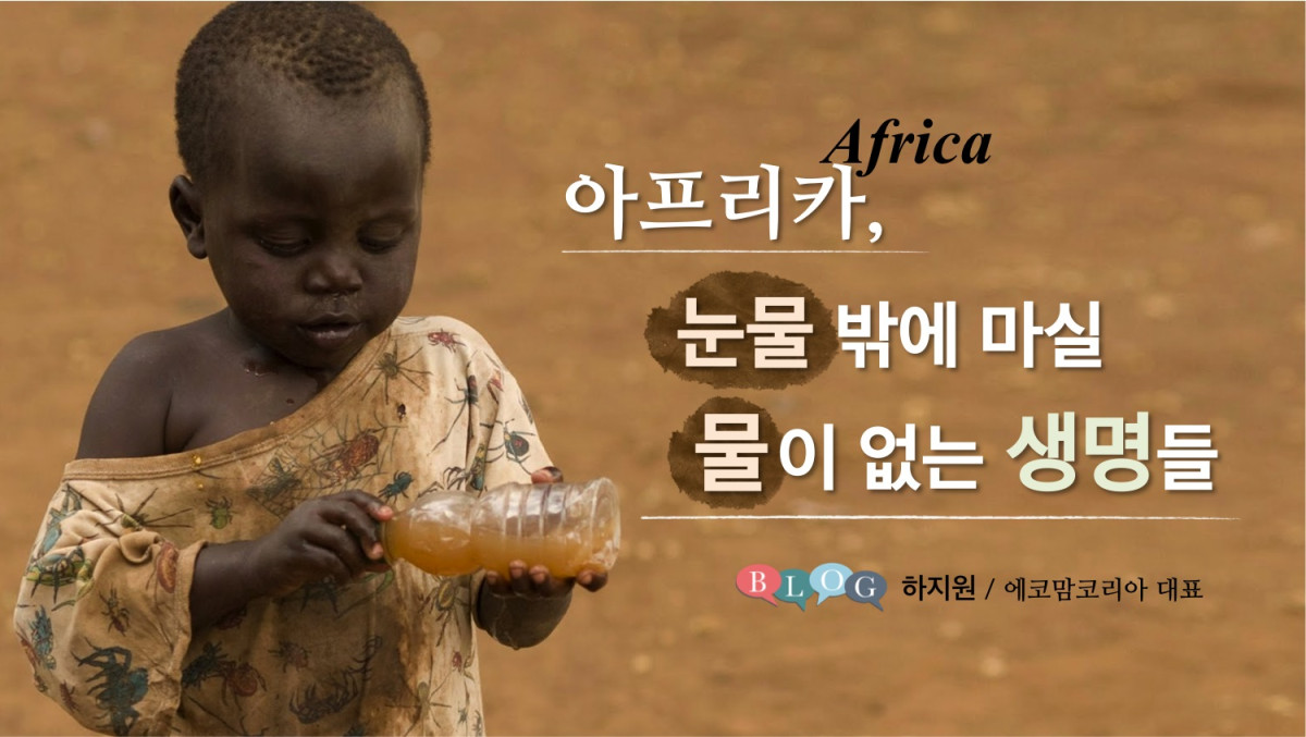 아프리카, 눈물 밖에 마실 물이 없는 생명들