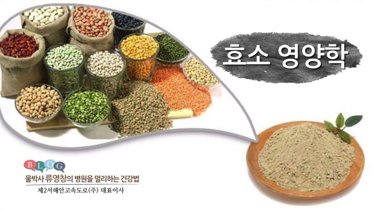 효소 영양학