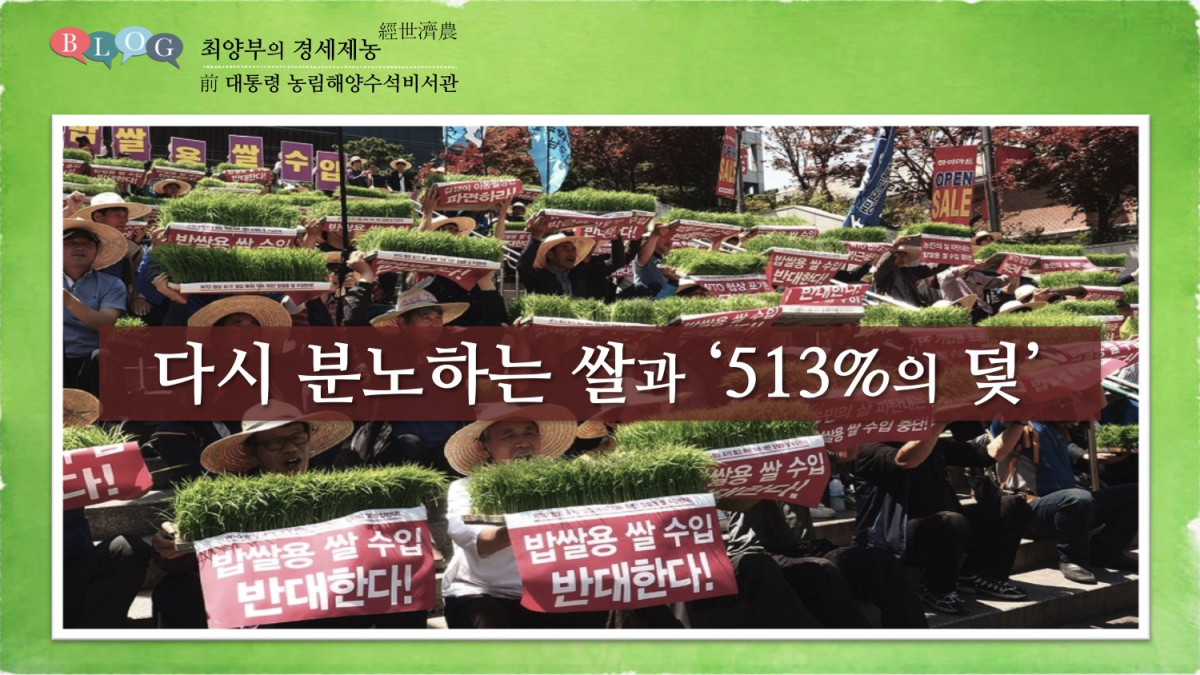 다시 분노하는 쌀과 ‘513%의 덫’ 