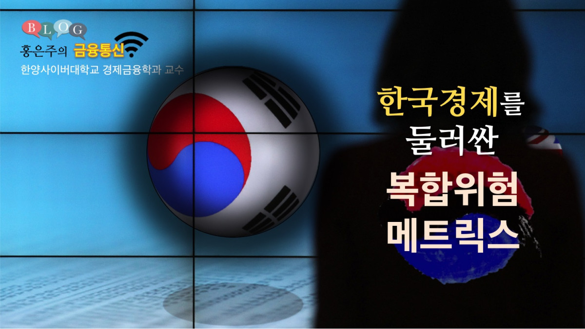 한국경제를 둘러싼 복합위험 메트릭스